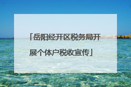 岳阳经开区税务局开展个体户税收宣传