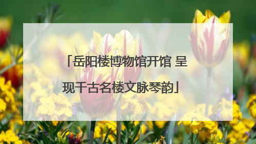 岳阳楼博物馆开馆 呈现千古名楼文脉琴韵