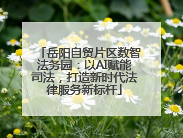 岳阳自贸片区数智法务园：以AI赋能司法，打造新时代法律服务新标杆