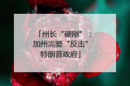 州长“硬刚”：加州需要“反击”特朗普政府
