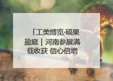 工美博览·硕果盈庭｜河南参展满载收获 信心倍增“下届还来”