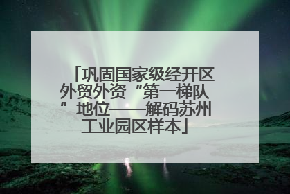 巩固国家级经开区外贸外资“第一梯队”地位——解码苏州工业园区样本