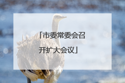 市委常委会召开扩大会议