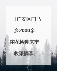 广安区白马乡2000余亩花椒迎来丰收采摘季