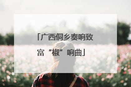 广西侗乡奏响致富“椒”响曲