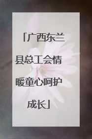 广西东兰县总工会情暖童心呵护成长