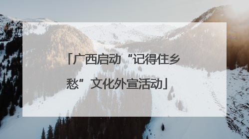 广西启动“记得住乡愁”文化外宣活动