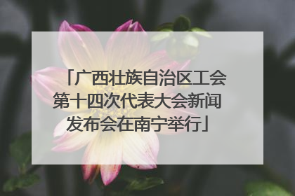 广西壮族自治区工会第十四次代表大会新闻发布会在南宁举行
