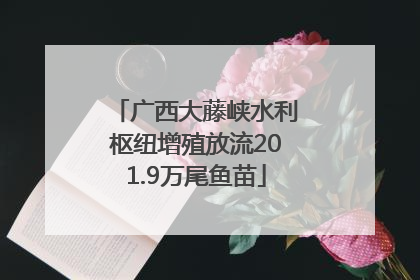 广西大藤峡水利枢纽增殖放流201.9万尾鱼苗
