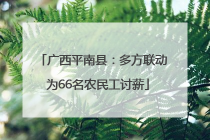 广西平南县：多方联动为66名农民工讨薪