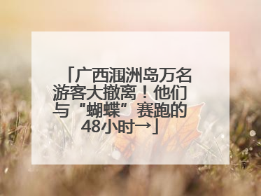 广西涠洲岛万名游客大撤离！他们与“蝴蝶”赛跑的48小时→