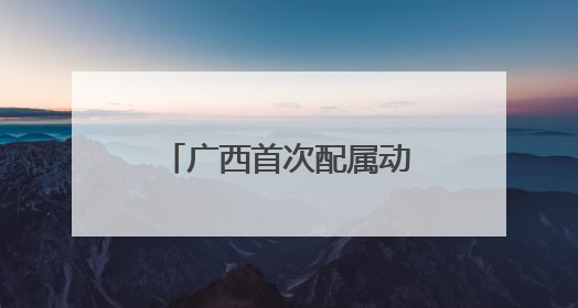广西首次配属动力集中“复兴号”动车组 南宁至上海省时近6小时