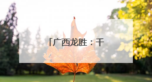 广西龙胜：千年梯田醉游人