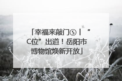 幸福来敲门⑤丨“C位”出道！岳阳市博物馆焕新开放