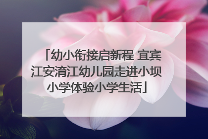 幼小衔接启新程 宜宾江安淯江幼儿园走进小坝小学体验小学生活