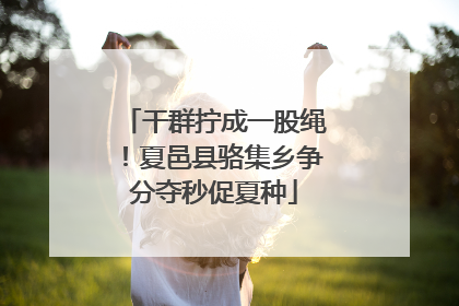 干群拧成一股绳！夏邑县骆集乡争分夺秒促夏种