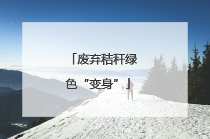 废弃秸秆绿色“变身”