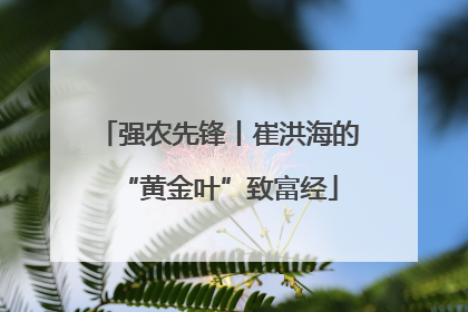 强农先锋丨崔洪海的“黄金叶”致富经