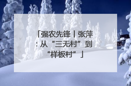 强农先锋丨张萍：从“三无村”到“样板村”