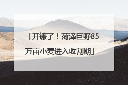 开镰了！菏泽巨野85万亩小麦进入收割期