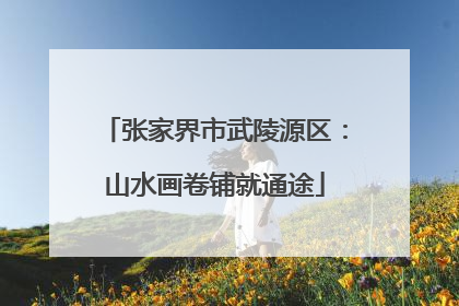张家界市武陵源区：山水画卷铺就通途
