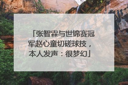 张智霖与世锦赛冠军赵心童切磋球技，本人发声：很梦幻