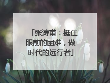 张涛甫：挺住眼前的困难，做时代的远行者