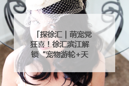 探徐汇｜萌宠党狂喜！徐汇滨江解锁“宠物游轮+天台乐园”双玩法