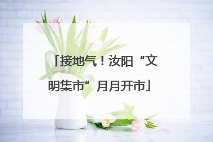 接地气！汝阳“文明集市”月月开市