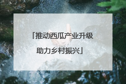 推动西瓜产业升级 助力乡村振兴