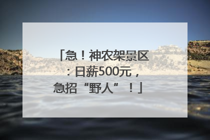 急！神农架景区：日薪500元，急招“野人”！