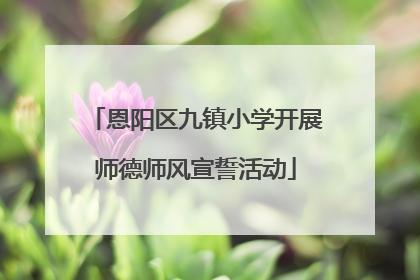 恩阳区九镇小学开展师德师风宣誓活动