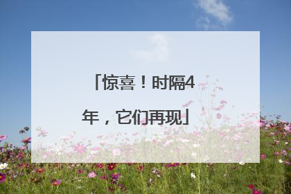 惊喜！时隔4年，它们再现
