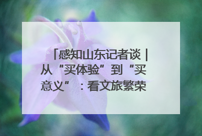 感知山东记者谈｜从“买体验”到“买意义”：看文旅繁荣背后的幸福新定义