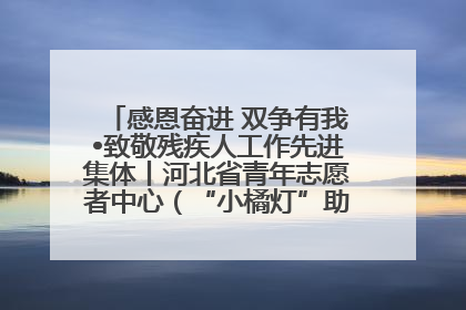 感恩奋进 双争有我•致敬残疾人工作先进集体丨河北省青年志愿者中心（“小橘灯”助残接力计划实施团队）：用温暖陪伴，守护特殊孩子成长