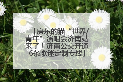 房东的猫“世界/青年”演唱会济南站来了！济南公交开通6条歌迷定制专线