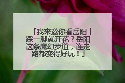 我来邀你看岳阳丨踩一脚就开花？岳阳这条魔幻步道，连走路都变得好玩！