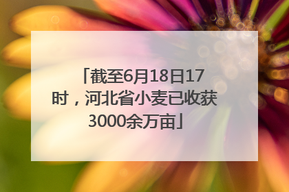截至6月18日17时，河北省小麦已收获3000余万亩