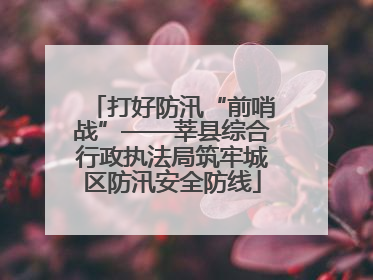 打好防汛“前哨战”——莘县综合行政执法局筑牢城区防汛安全防线