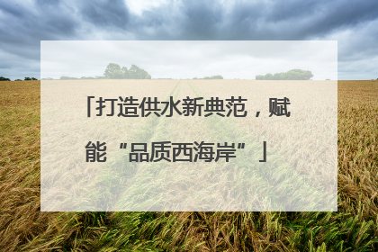 打造供水新典范，赋能“品质西海岸”
