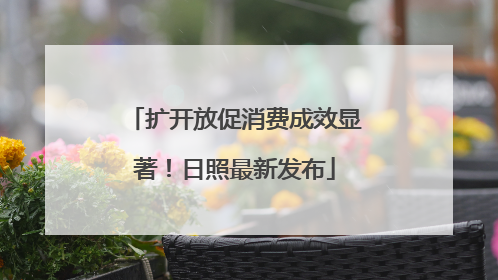 扩开放促消费成效显著！日照最新发布