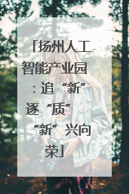 扬州人工智能产业园：追“新”逐“质” “新”兴向荣