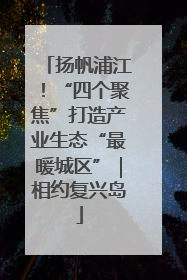 扬帆浦江！“四个聚焦”打造产业生态“最暖城区”｜相约复兴岛