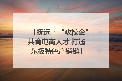 抚远：“政校企”共育电商人才 打通东极特色产销链