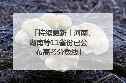 持续更新︱河南、湖南等11省份已公布高考分数线