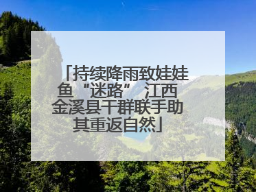 持续降雨致娃娃鱼“迷路” 江西金溪县干群联手助其重返自然
