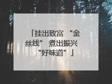 挂出致富 “金丝线” 煮出振兴“好味道”