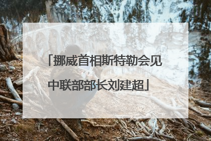 挪威首相斯特勒会见中联部部长刘建超
