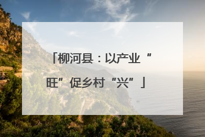 柳河县：以产业“旺”促乡村“兴”