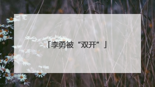 李勇被“双开”